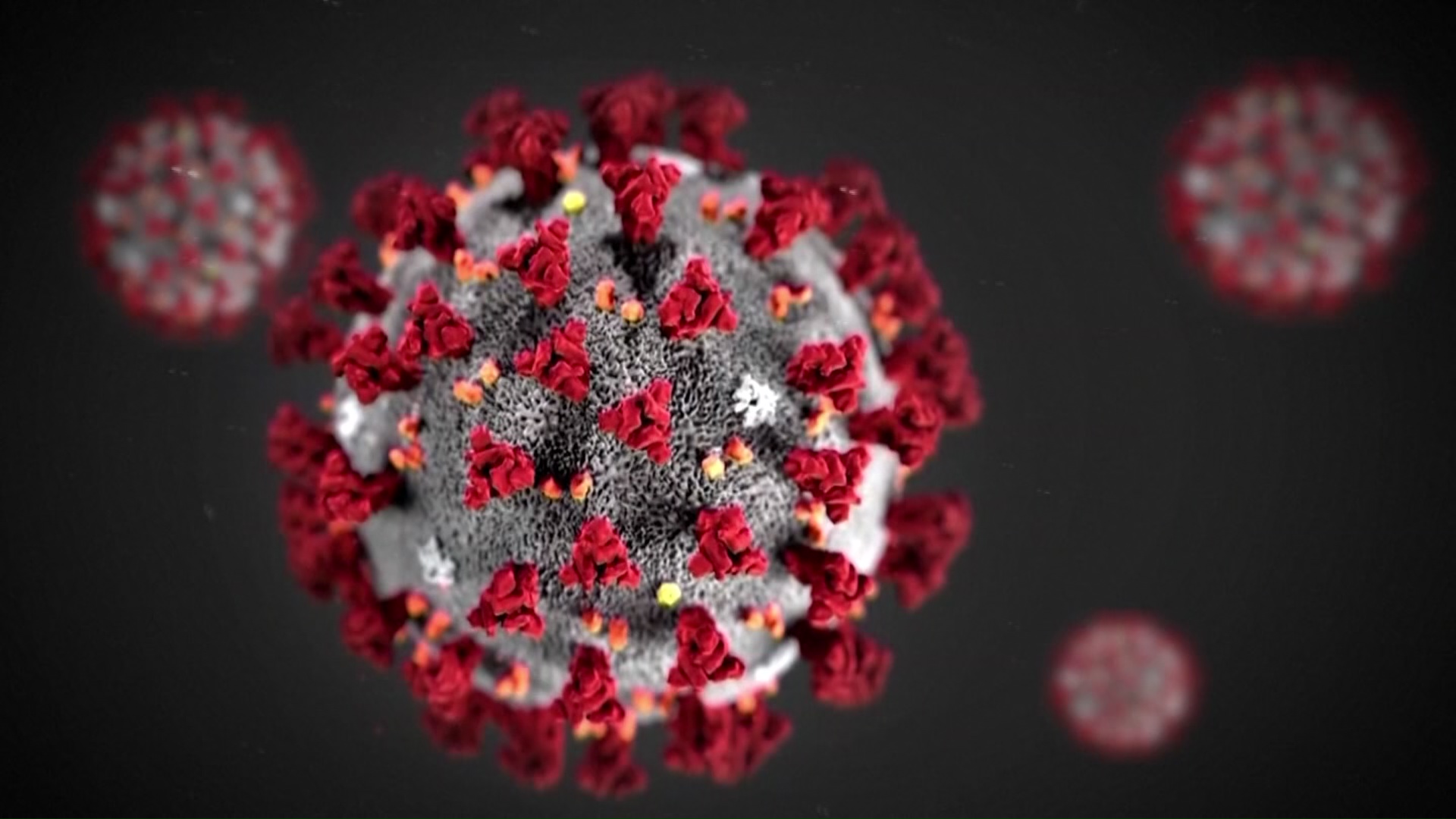 Four Fully Vaccinated People Have Died of COVID-19 In Dallas County - Vimarsana News