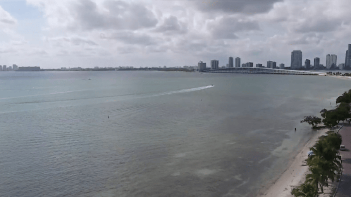 Cold Temperatures Hit South Florida