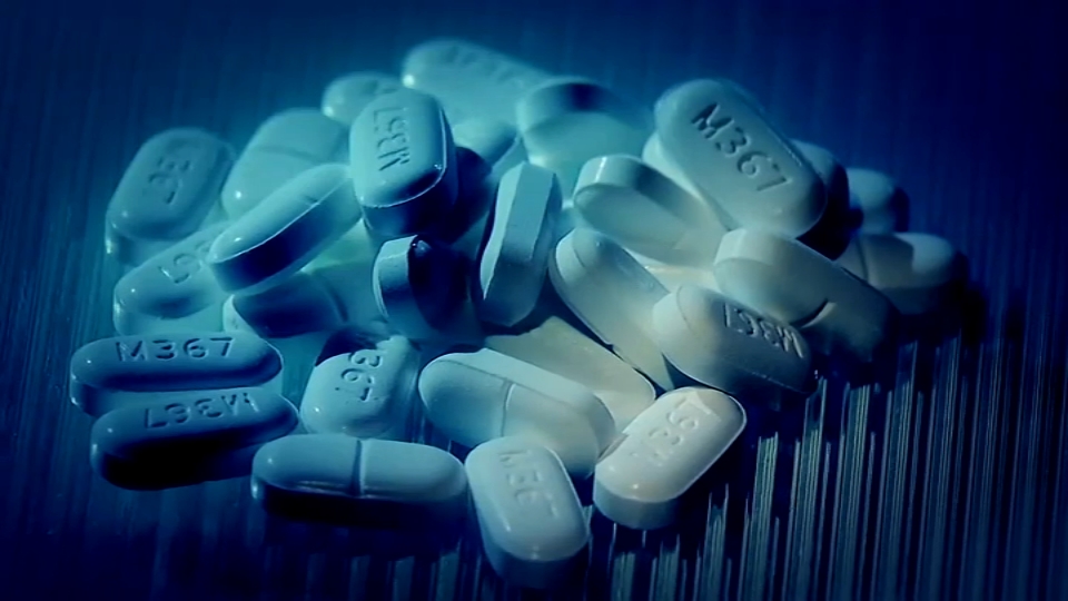 Long Island Drug Bust Breaks Record
