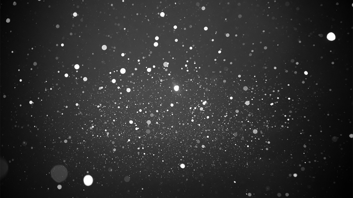 Winter Storm Warning in DC Area for Heavy Snow, Sleet on Thursday - Vimarsana News