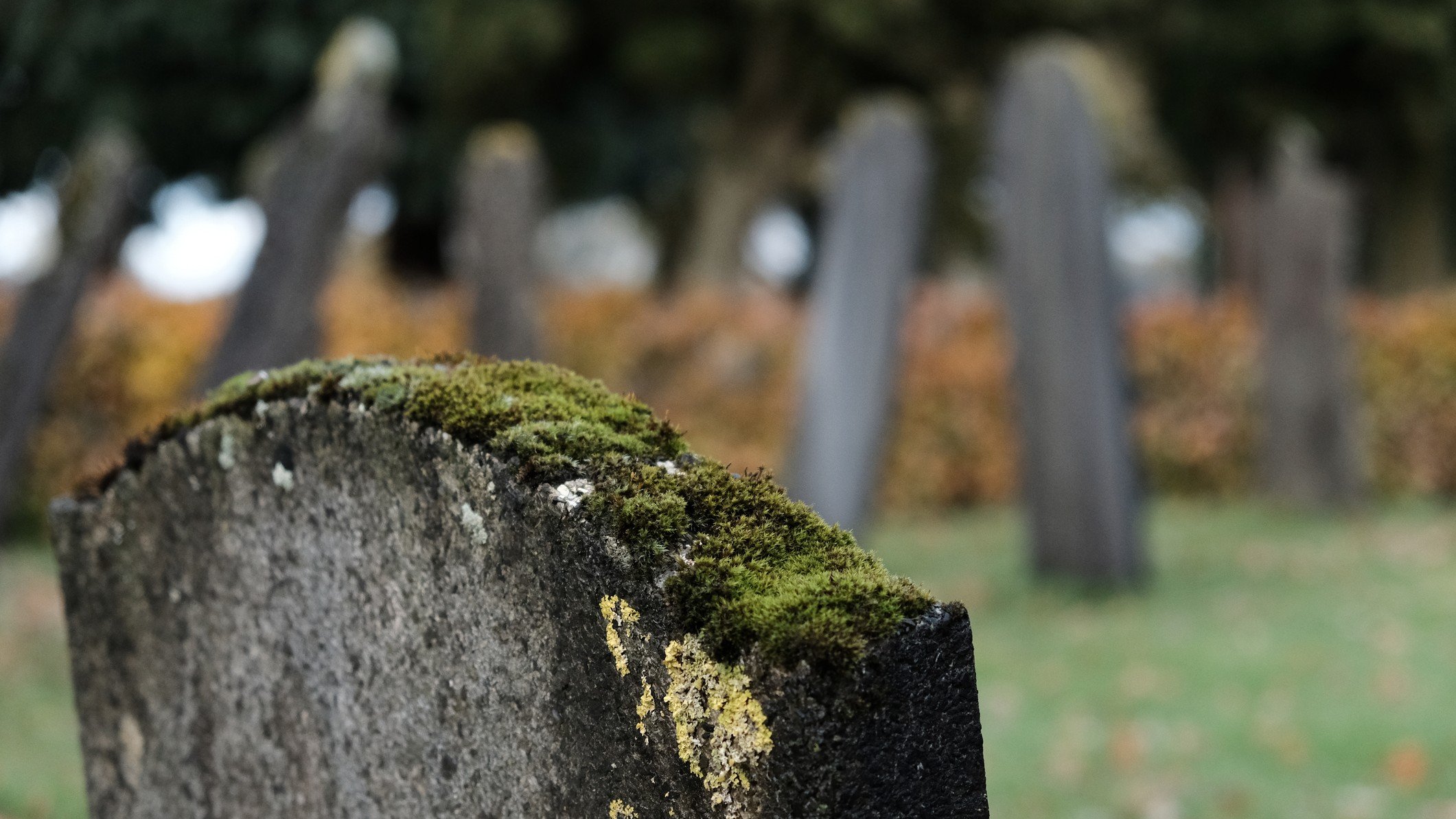 Amateur Genealogist Admits to Botching Maryland Grave Cleaning - Vimarsana News