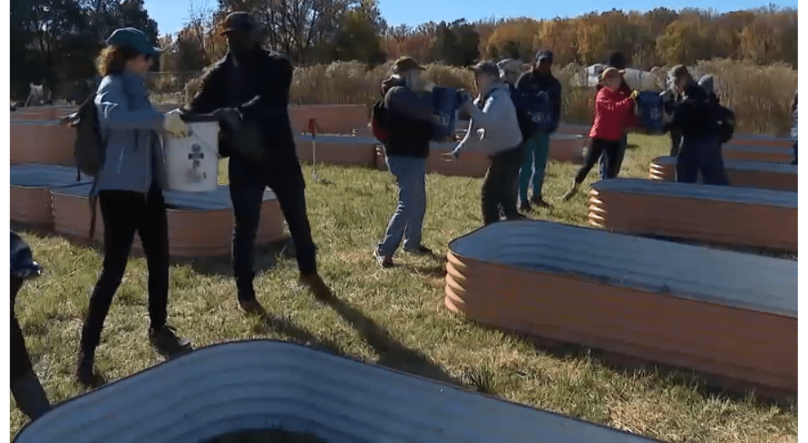 Growing Together: How Local Volunteers Nourish Community Spirit in a Garden During Shutdown