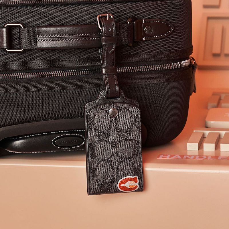 Coach Airways Collection_7