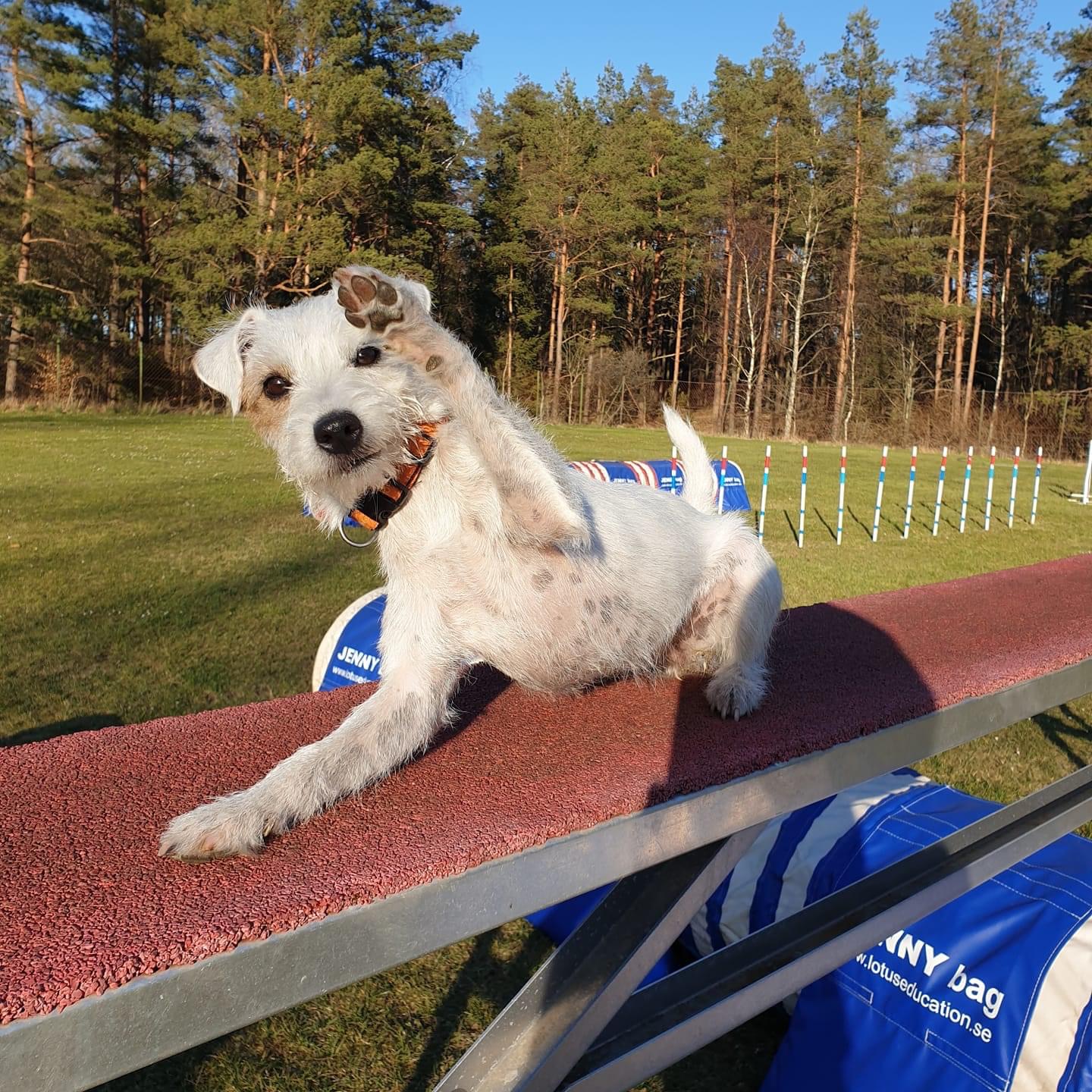 Vinnare Goodgirls Holi Festival med Bodil Jönsson