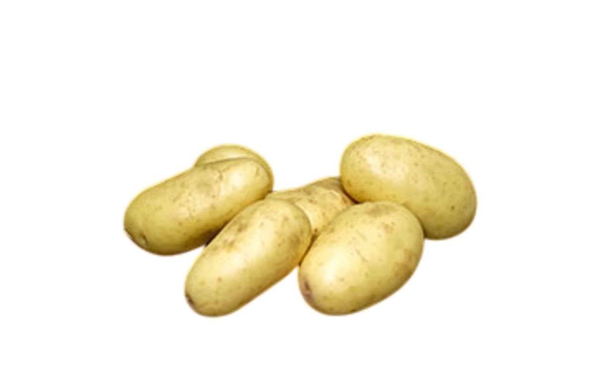 Cronos Agro - Download Amazing Vintage Image | Retina