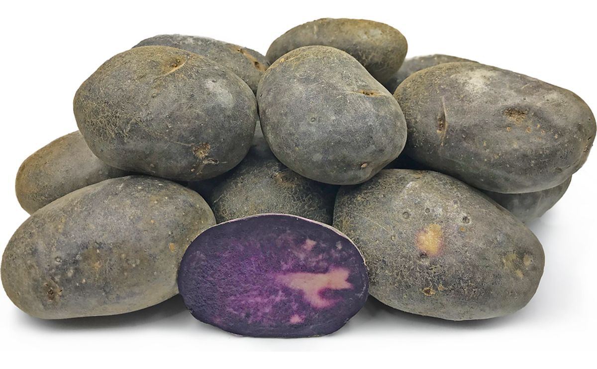 Double Fun Potatopro - Space Background Collection - Mobile Quality