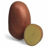 Laura Potatopro - Elegant Mobile Mountain Textures | Free Download