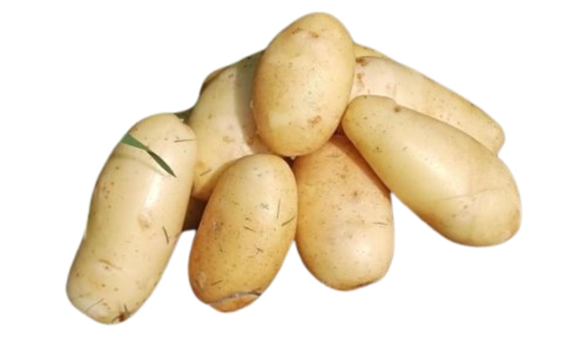 Github C3k4ah Mozika Mozika Mzk - Vintage Design Collection - 4K Quality