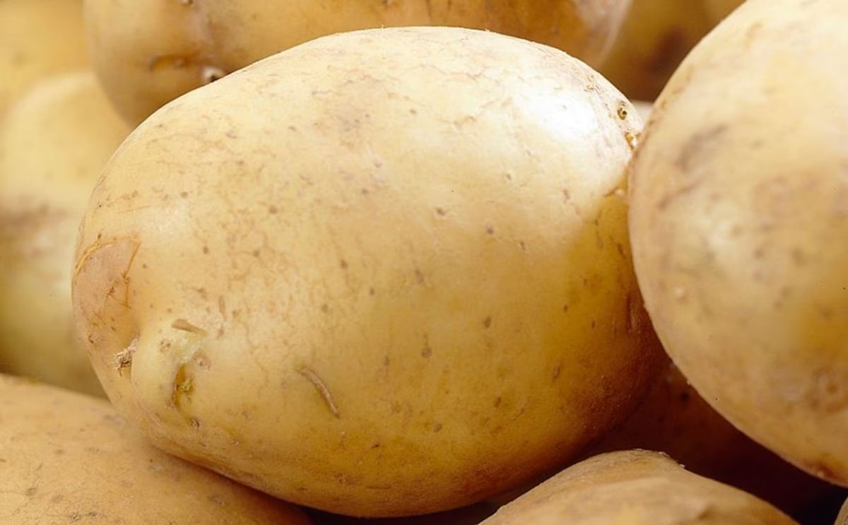 Rocket Potato By Devalen200 - Nature Art Collection - Ultra HD Quality