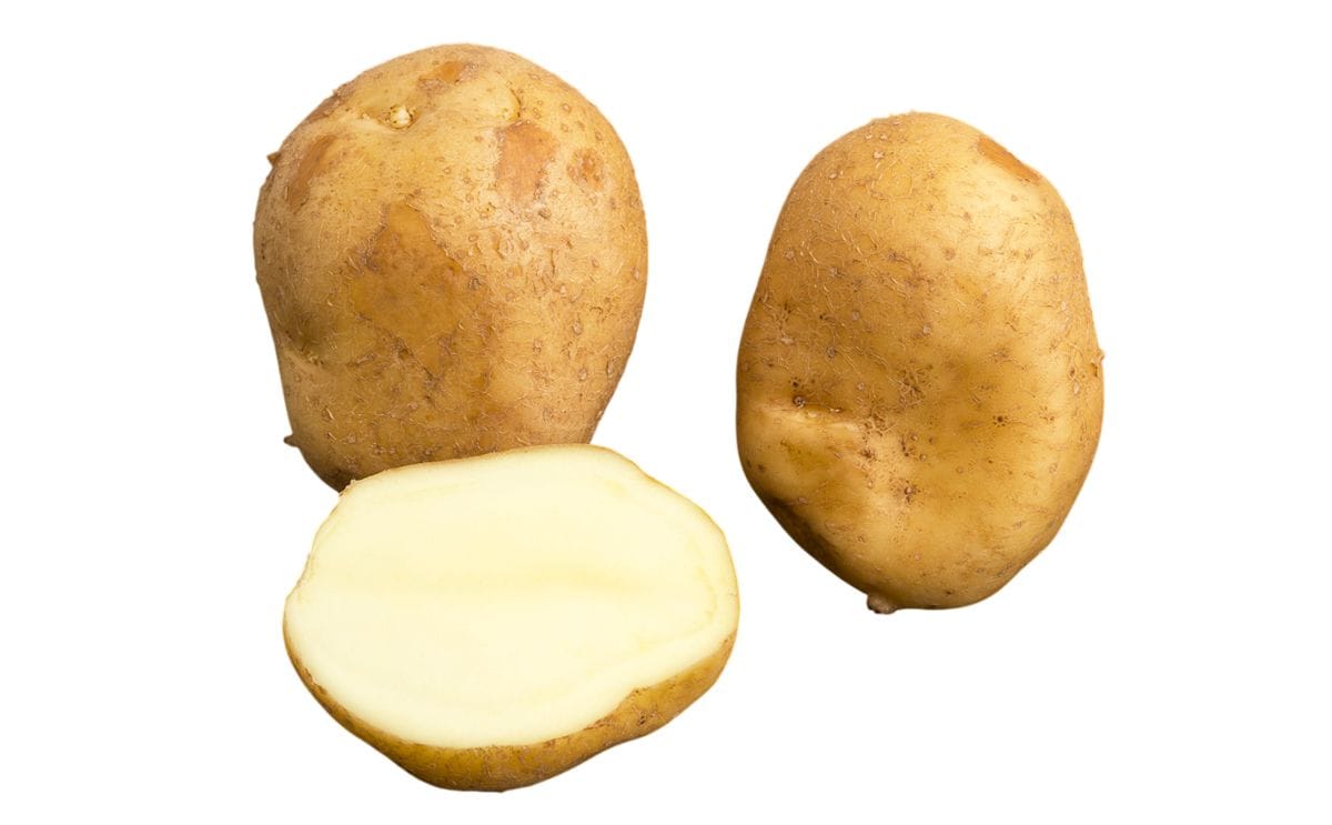 Wizard Potatopro - Vintage Illustration Collection - Desktop Quality