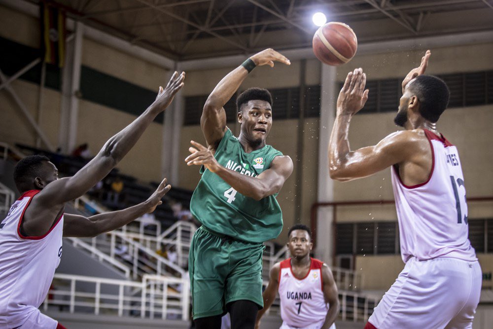 D’TIGERS