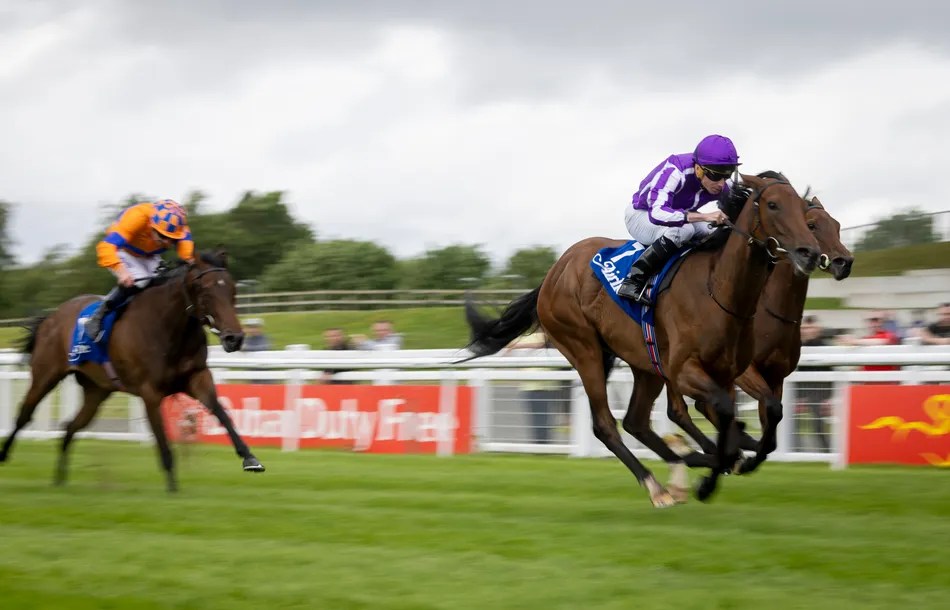 Sun Goddess vs Celeron: Phoenix Stakes Upset Alert? | Horse Racing Analysis (2026)