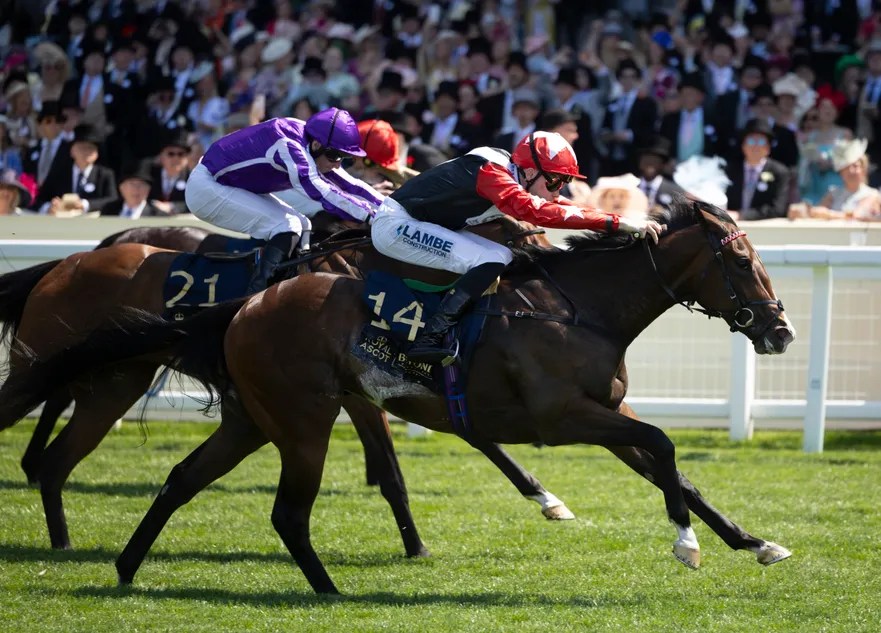 Royal Ascot Winner Libertango Aims for York Glory: Can She Bounce Back? (2026)