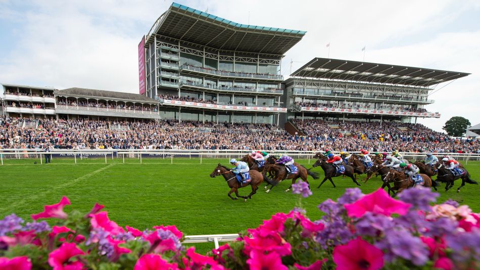 Scottish Trainers Aim for Glory at York's Ebor Festival | Racing Insights (2026)