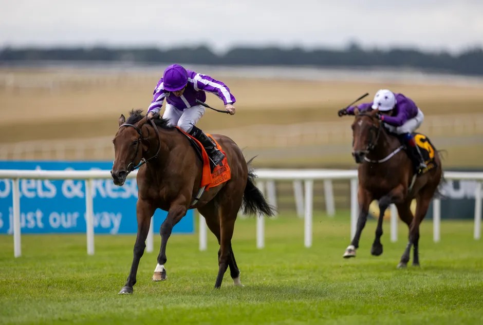 Sun Goddess Shines: Aidan O'Brien's 18th Phoenix Stakes Win with a Filly (2026)