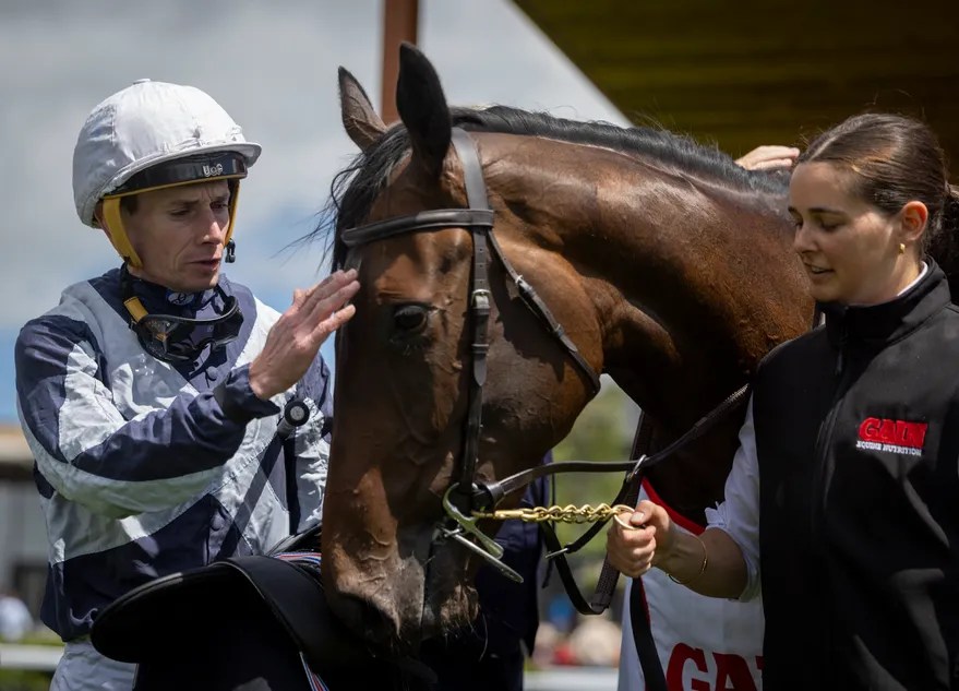 Alpha: The Rising Star of Horse Racing at Leopardstown | 1000 Guineas & Oaks Contender (2026)