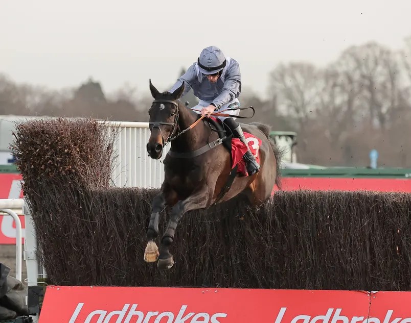 Dan Skelton Aims to Reignite Il Est Francais' Career: Can He Spark a Comeback? (2026)