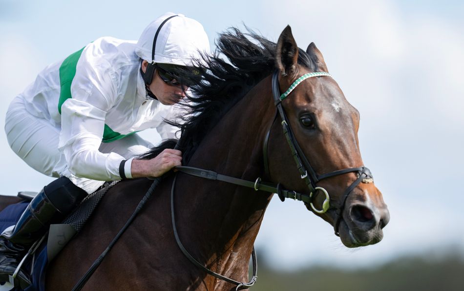 Water To Wine: Can the Gosden Colt Make the Derby After Chester Withdrawal? (2026)