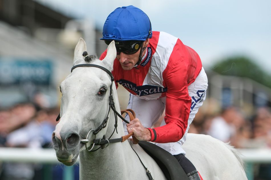 Estrangement's Big Plans: Aiming for the Arc! | Horse Racing News (2026)