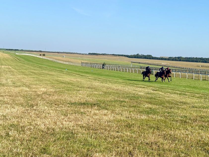 Newmarket's Watered Gallop: Impact of Heatwaves and Water Shortages (2026)