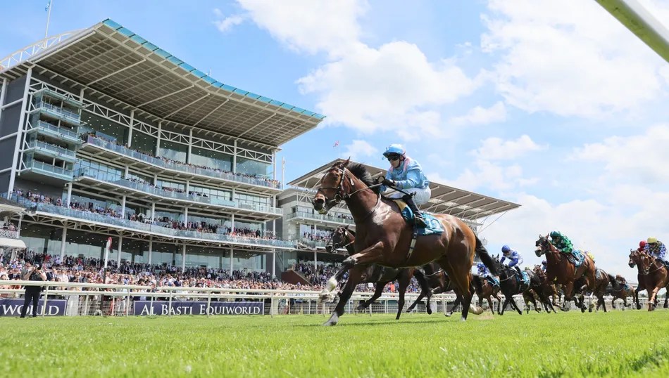 York Ebor Festival: Future Stars & Group 1 Prospects Unveiled! (2026)