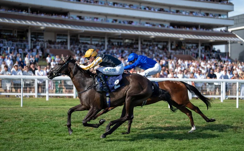 Evenfall's Unbeaten Streak: Following in Bow Echo's Hoofsteps (2026)