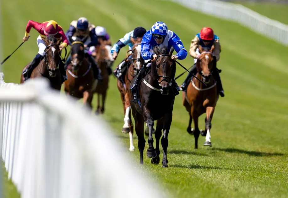 York's Ebor Meeting: Owner's Confidence Soars as Horse 'Kicks the Stable Down' - Exclusive Interview (2026)