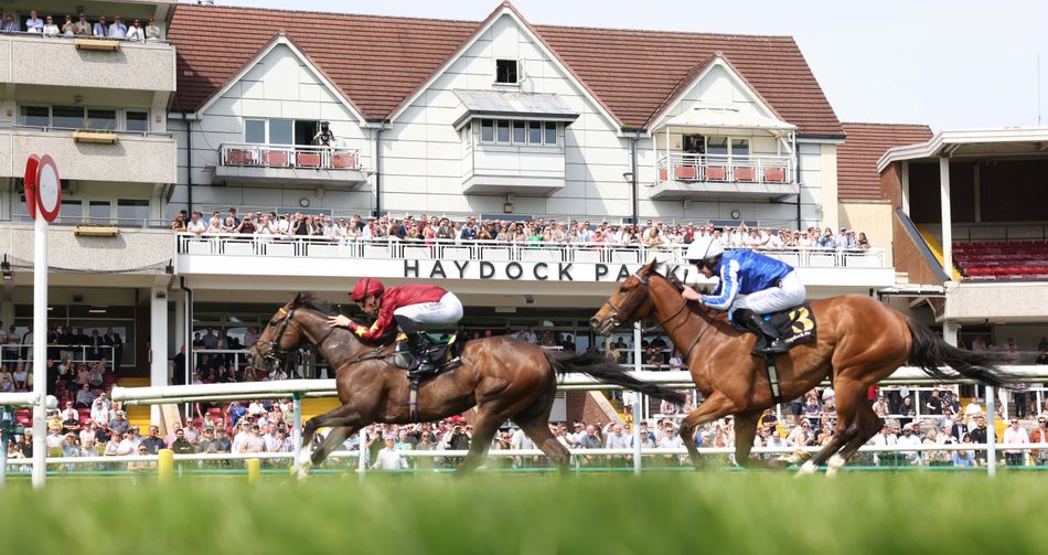 Haydock Park Hole Mystery: Why Races Are Moving & What's Next? | Horse Racing News (2026)
