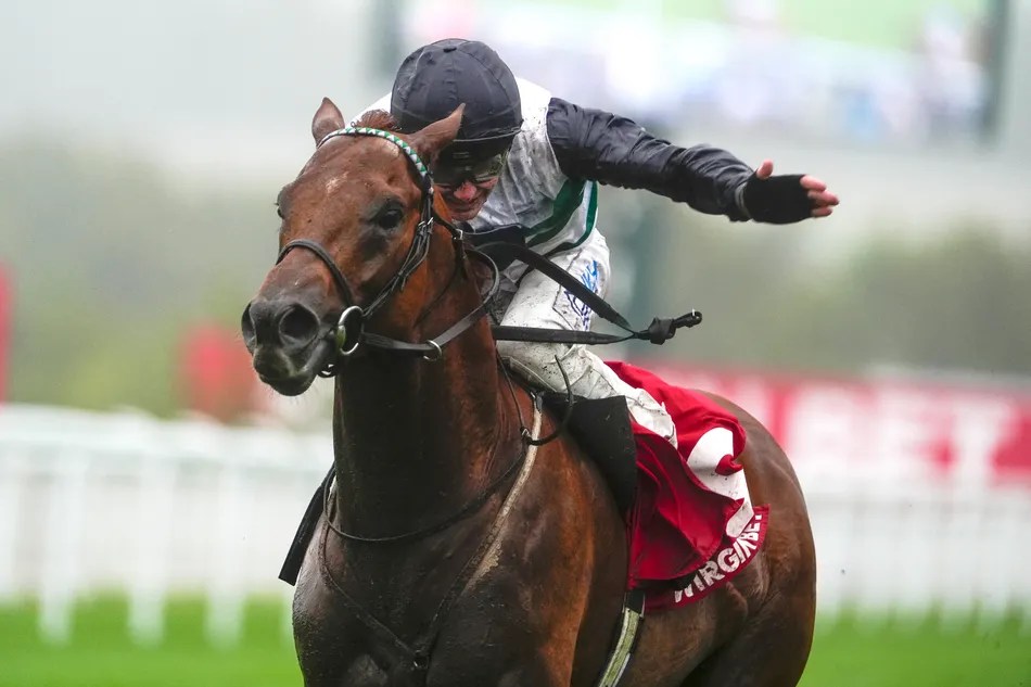 Zavateri's Racing Career: From Group 1 Glory to Stud Life (2026)