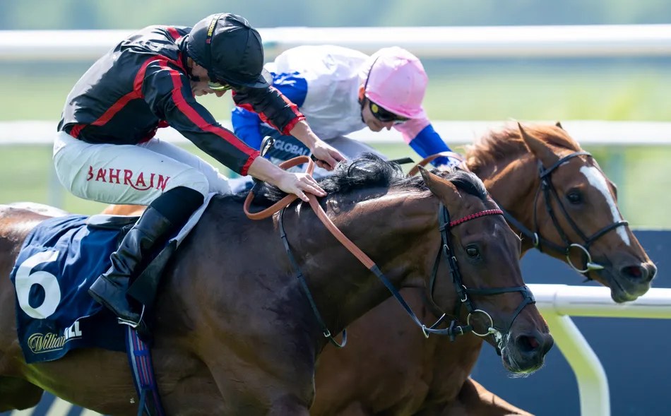 Maltese Cross: Underrated or Misunderstood? Tom Marquand's Take on the Great Voltigeur (2026)
