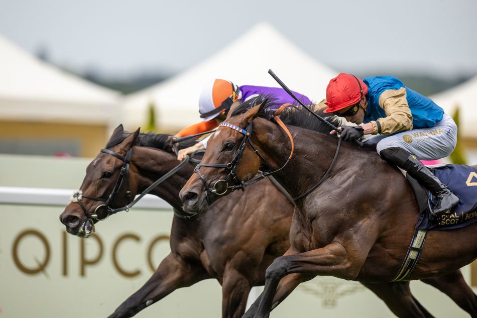 William Haggas: Aiming for Irish Oaks Glory with Earth Shot and Lilt (2026)