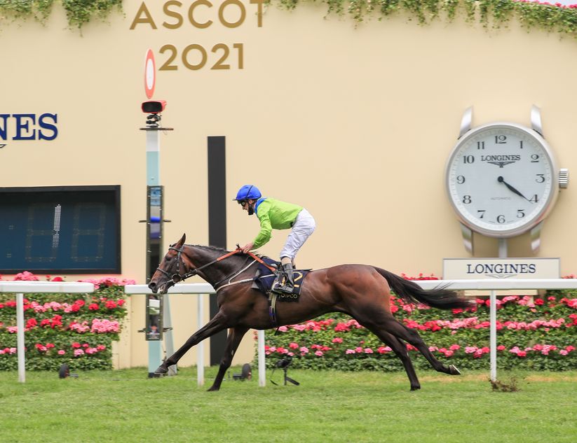 Charlie Johnston Pays Tribute to Retiring Jockey Joe Fanning (2026)