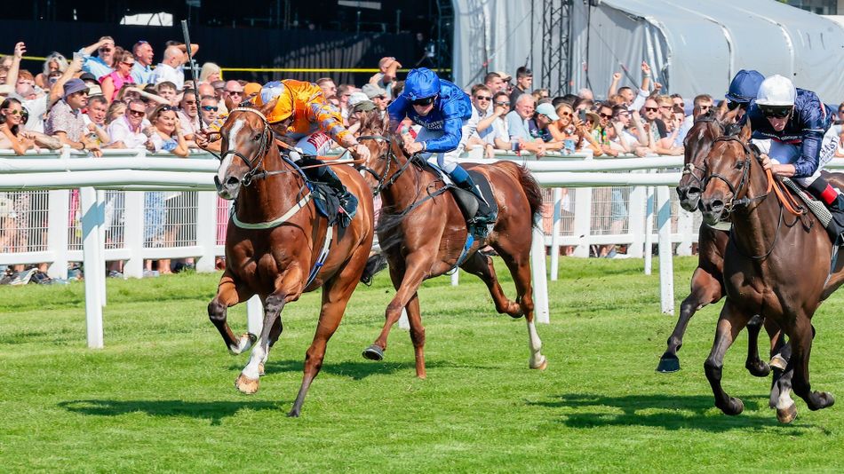 Meet Documenting: Britain's Oldest Winning Flat Horse in a Decade (2026)