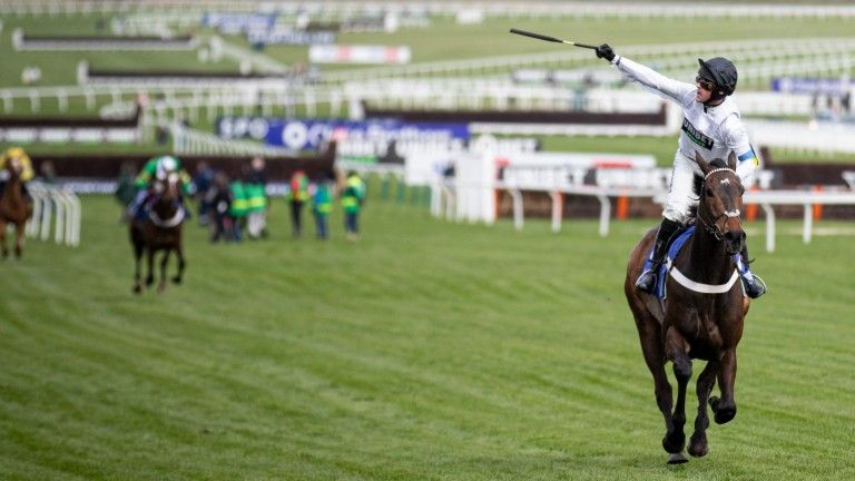 Constitution Hill's Journey: From Hurdles to Flat Racing | September Stakes 2025 (2026)