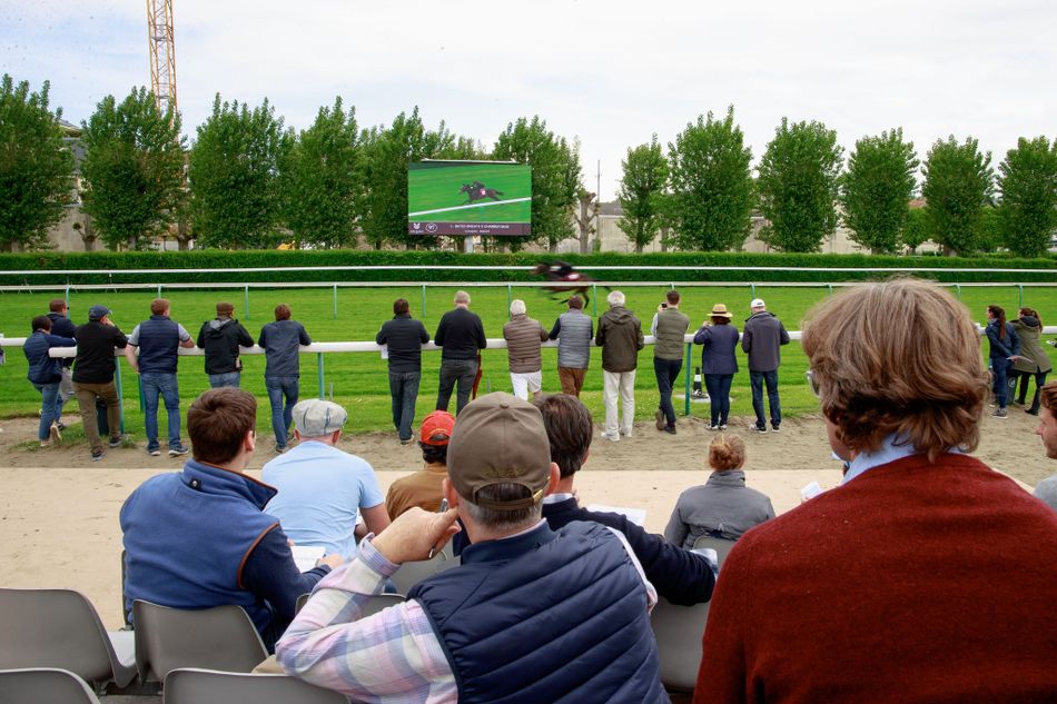 Unbeaten Juvenile Avec Toi: Is He the Next Champion? Trainer's High Praise Explained (2026)