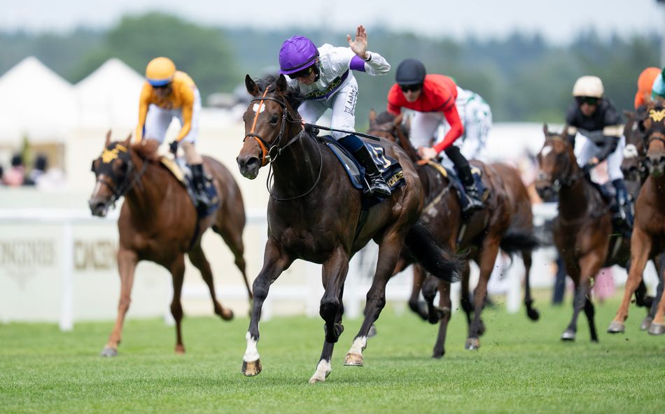 Clive Cox's Speedy Royal Ascot Winner Misses French Race Due to Scope Issue (2026)