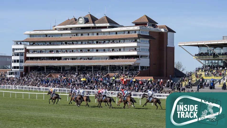 Godolphin Juvenile Bin Jahwar: Future Group Race Contender? Impressive Track Debut Analysis (2026)