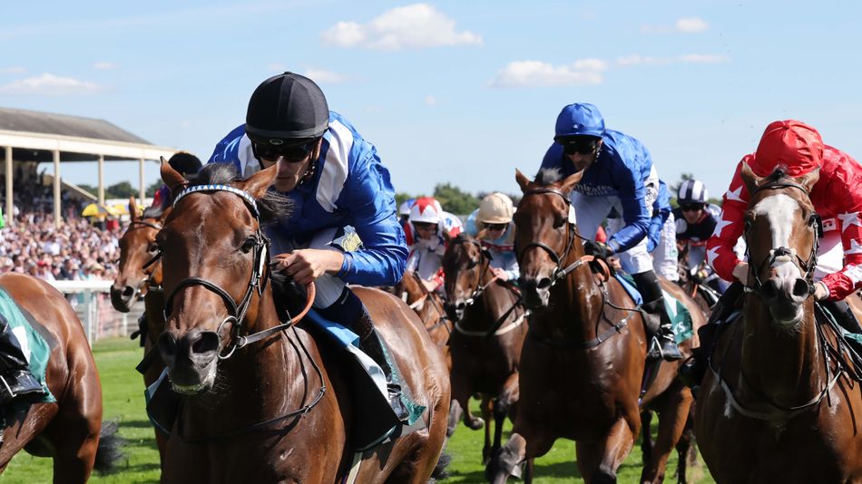 Super Saturday Racing Preview: John Smith's Cup & Bunbury Cup Analysis | Expert Tips & Insights (2026)