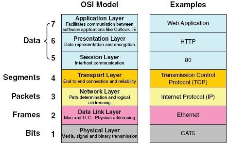 Computer networks | network layer | question 2. Network Layer Network Layer Protocols