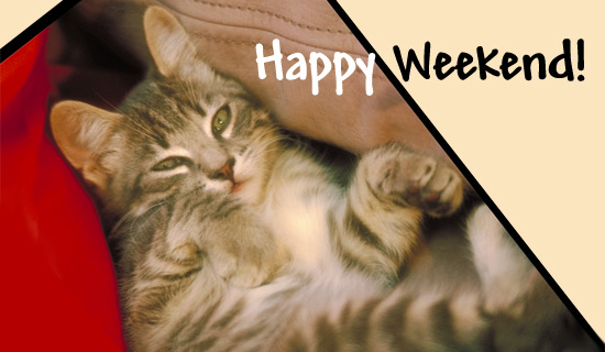 Quick send true card message cover verse: Free Happy Weekend! eCard - eMail Free Personalized Days of the Week Cards Online