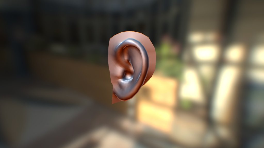 images Ear Reference For 3D Modeling ear reference v02 download free 3d