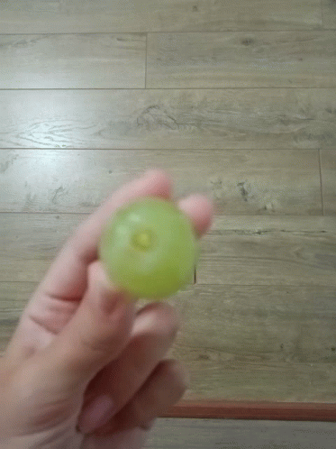 Grape gif