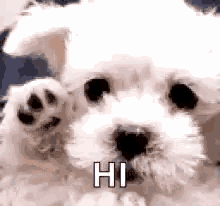 wallpapers Waving Hello Gif Cute waving hello gifs tenor