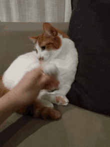 images Cute Cat Waving Gif cat waving gifs tenor