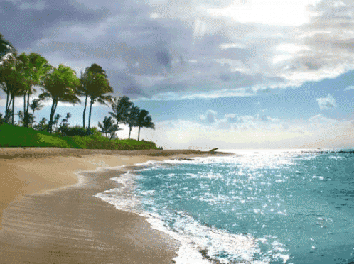 Beach Water GIF - Beach Water Sea - Discover & Share GIFs
