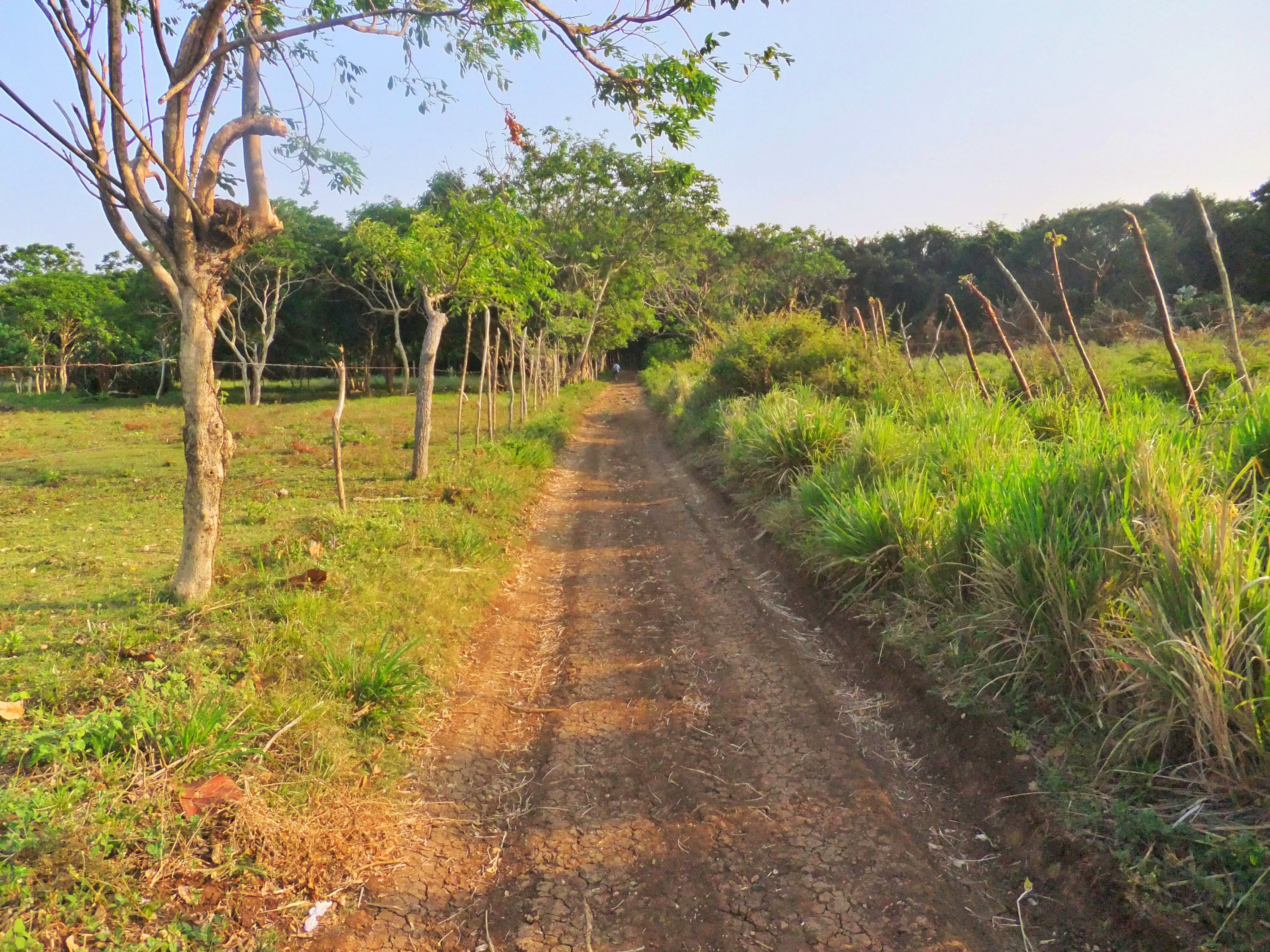 Utila Island Exploration