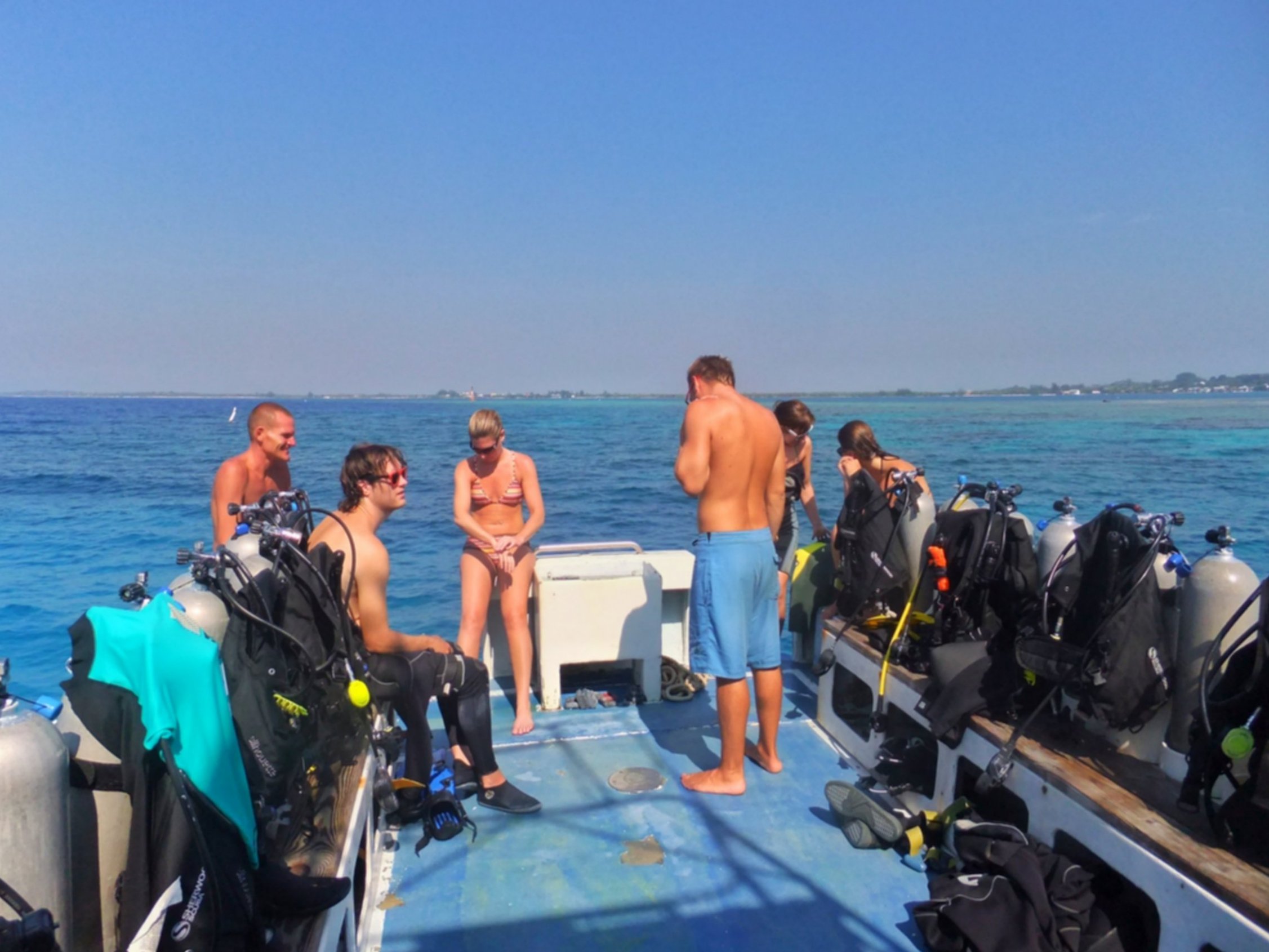 Whale Sharks In Utila