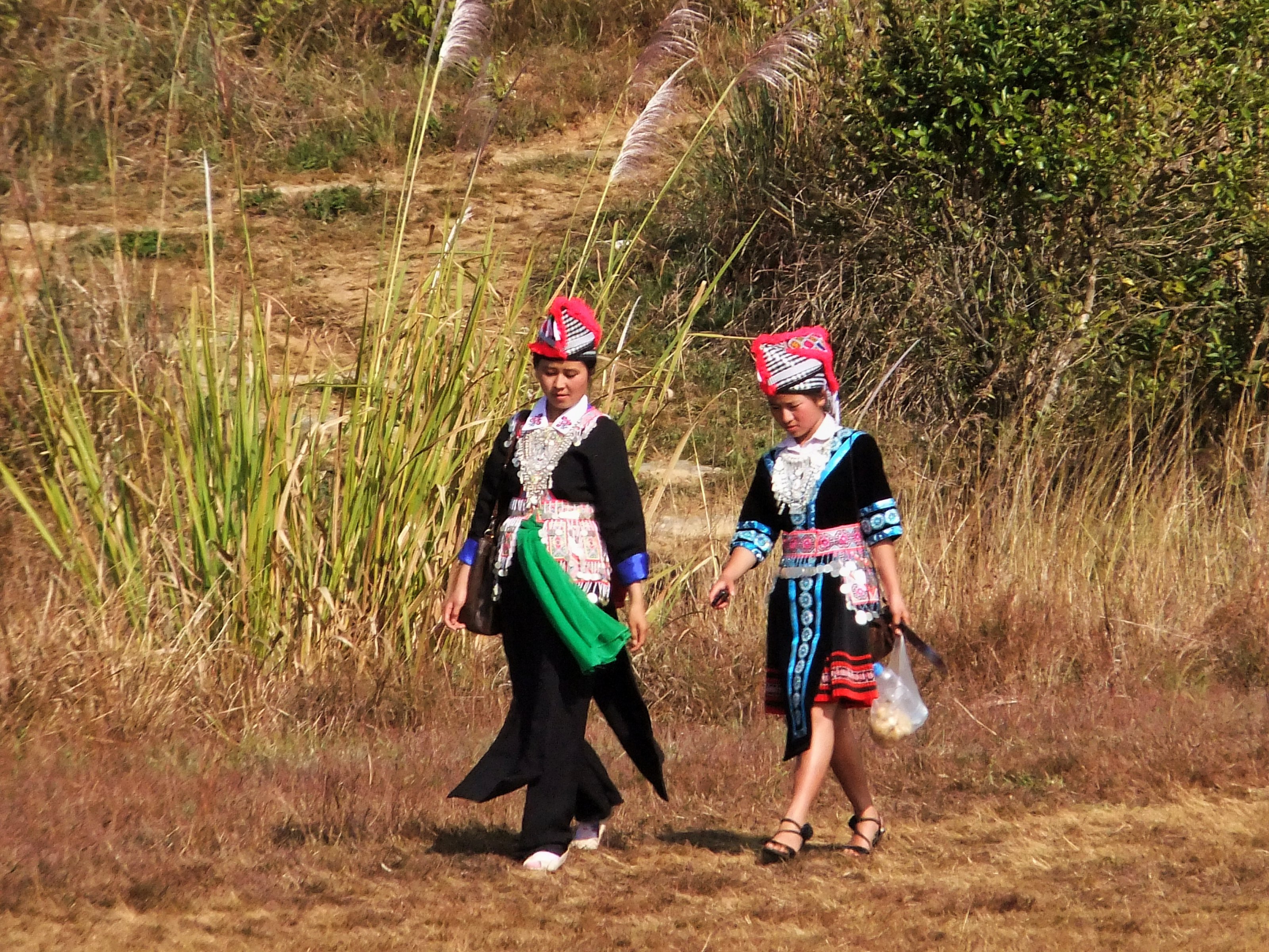 Plain of Jars