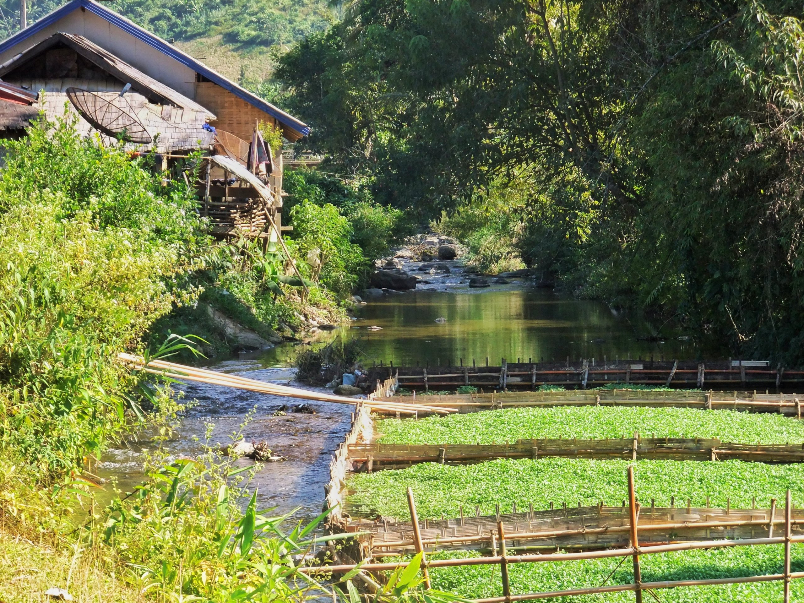Riding Motorbikes in Laos