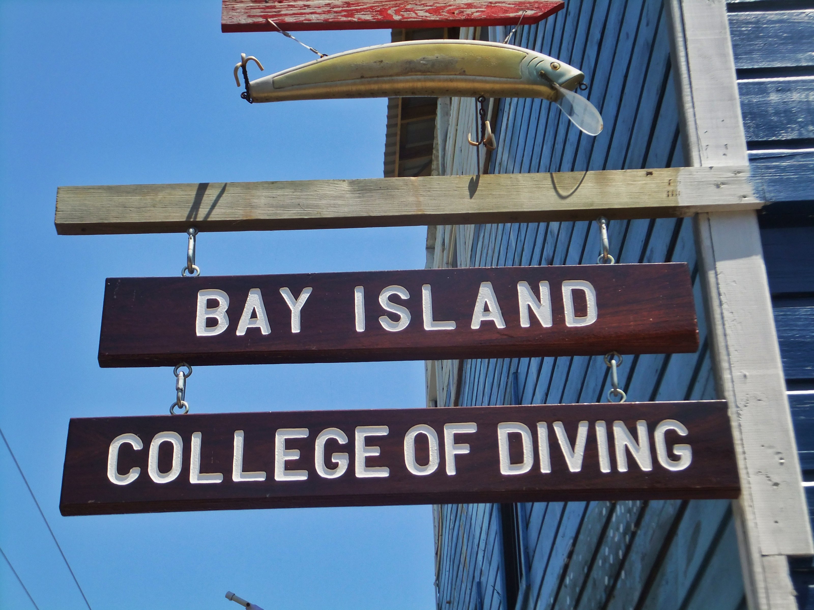 Introduction to Diving